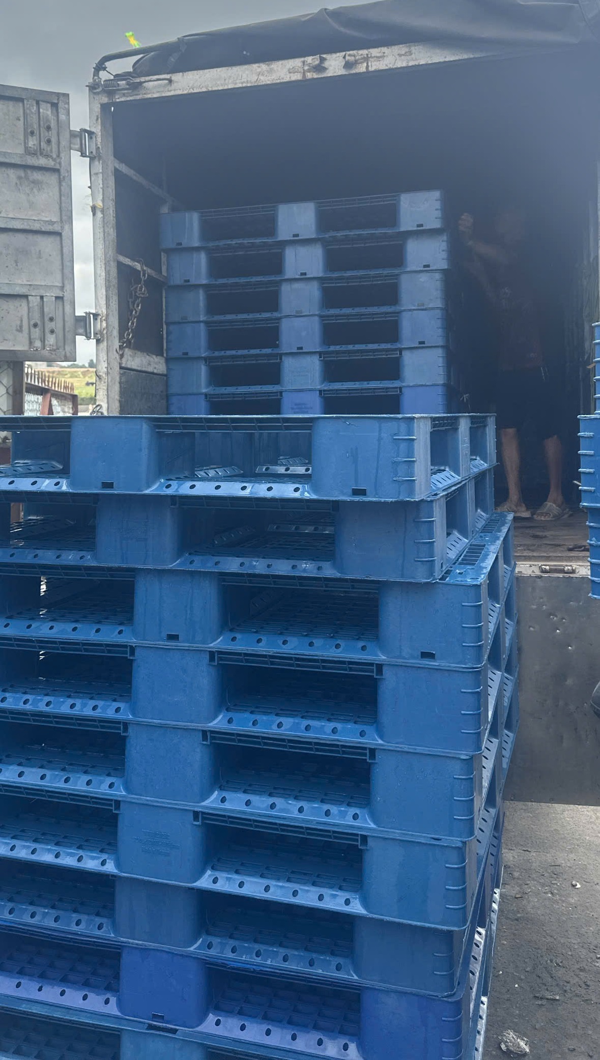 Cung Ứng Pallet Đồng Nai Cho Hệ Thống Kho Bãi KCN