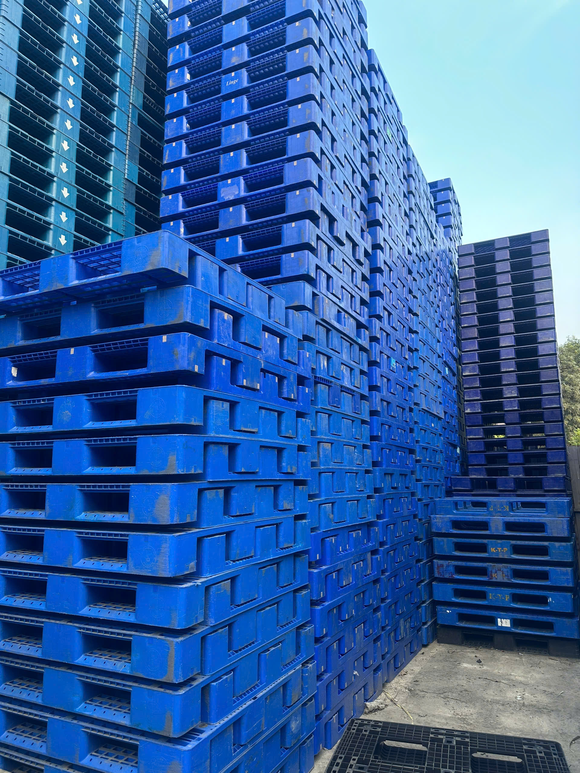 Nhu Cầu Lưu Trữ Và Vận Chuyển Hàng Hóa Phía Nam Sẽ Được Giải Quyết Cùng Pallet HCM