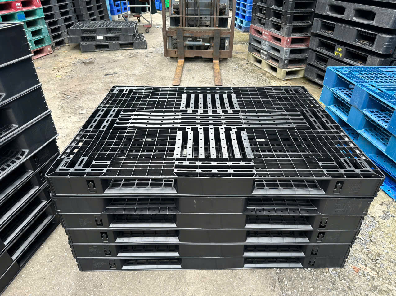 Pallet Nhựa Mới Và Ứng Dụng Trong Hệ Thống Kho Vận Hiện Đại