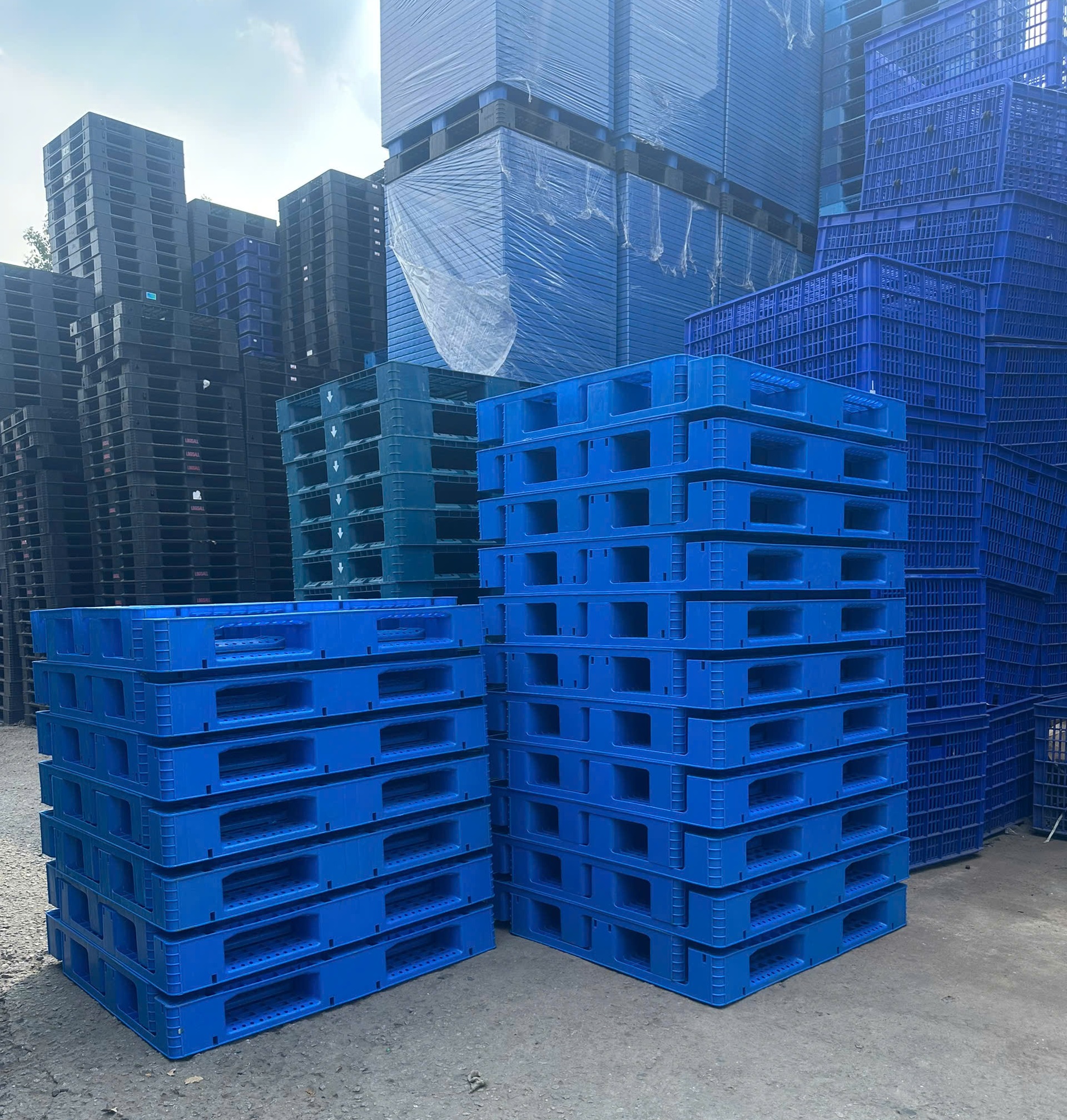 Pallet Nhựa Xanh Dương Và Lý Do Trở Thành Tiêu Chuẩn Kho Vận