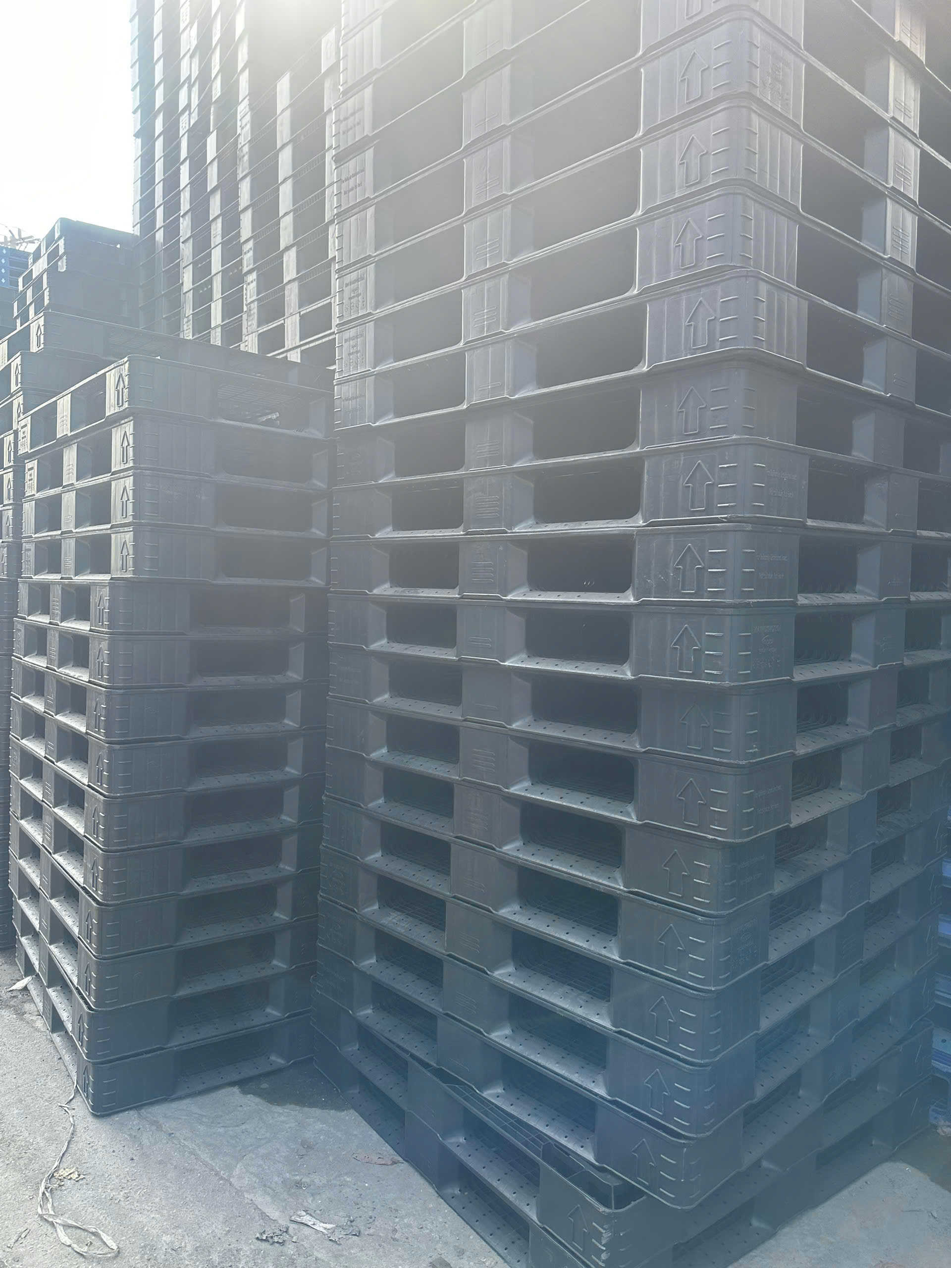 Đóng Gói Và Vận Chuyển Hàng Hóa Quốc Tế Hiệu Quả Không Thể Thiếu Pallet Xuất Khẩu