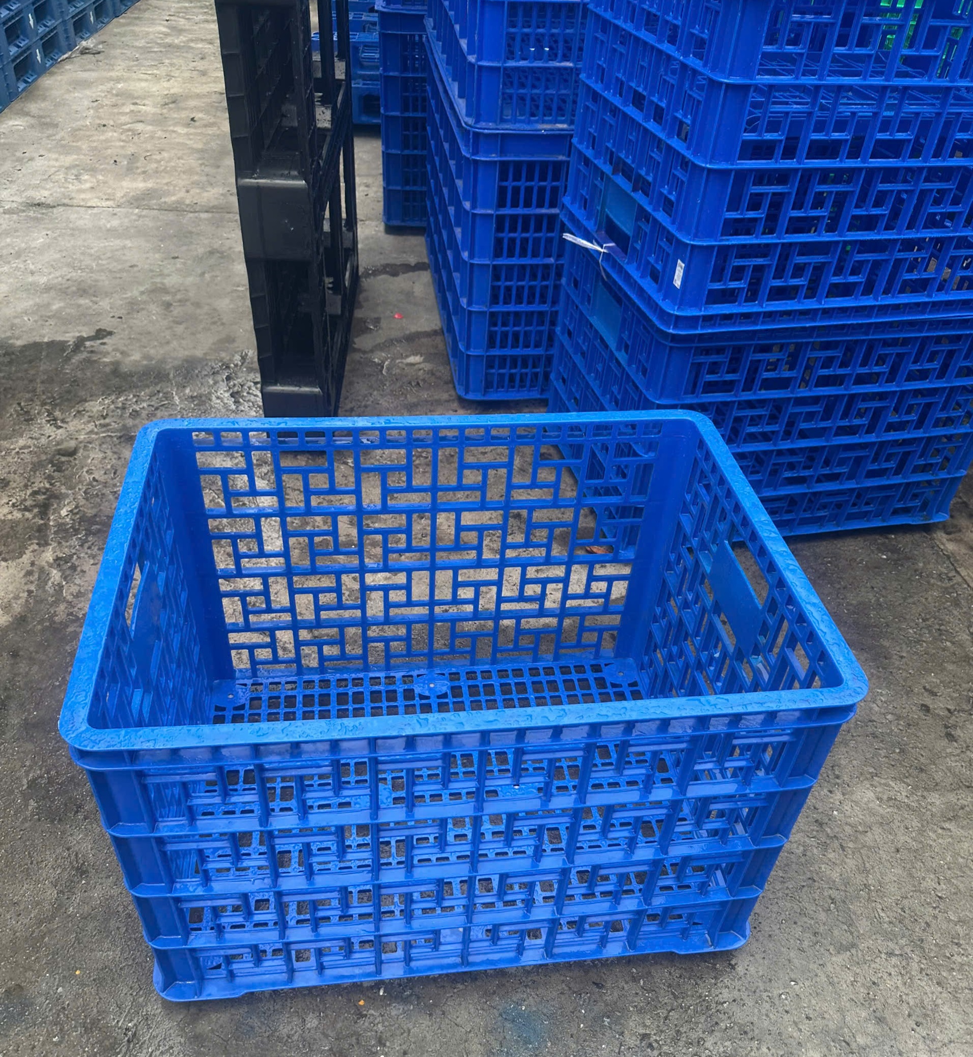 Sóng Nhựa Đựng Rau Loại Nào Giảm Tỷ Lệ Hao Hụt Nông Sản?