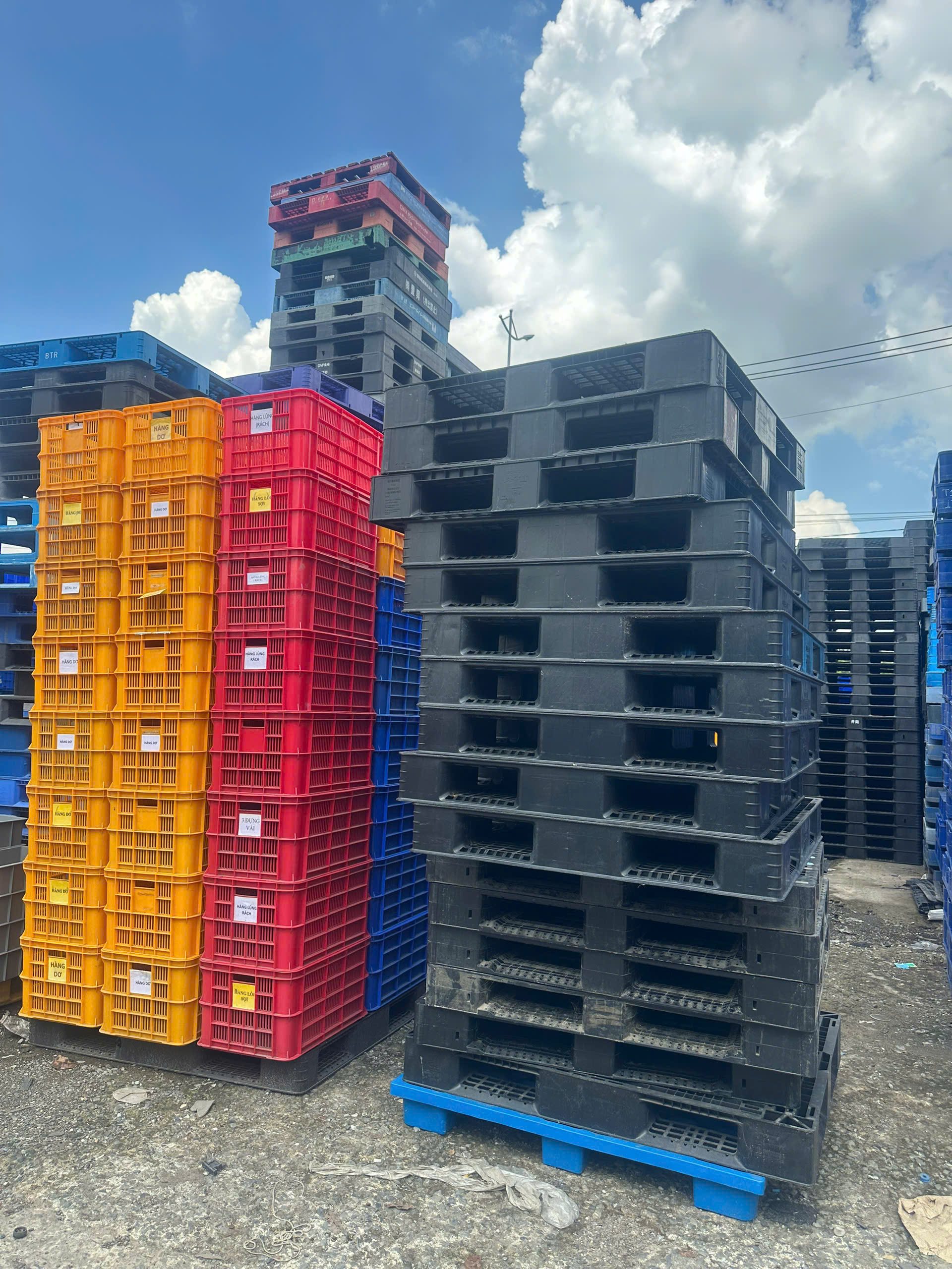Thu Mua Pallet Nhựa Cũ Giá Tốt: Những Điều Doanh Nghiệp Cần Biết