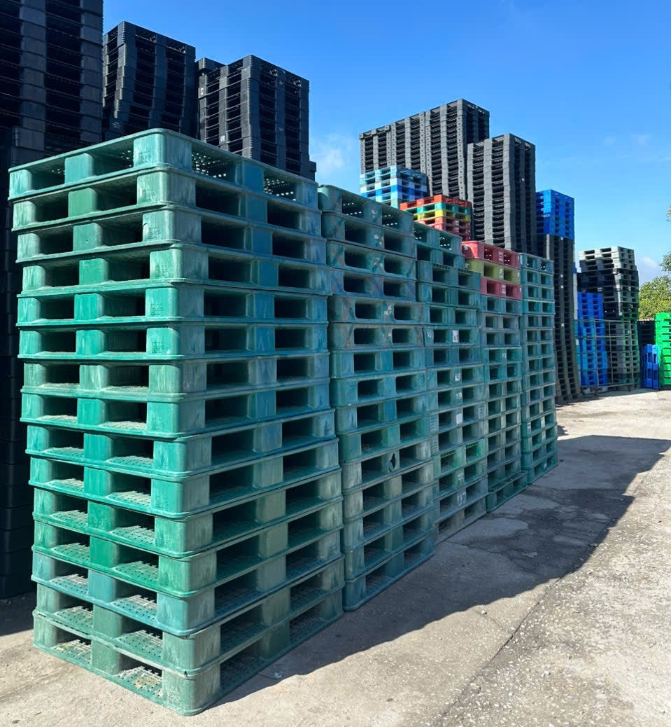 Thu Mua Pallet Nhựa Cũ Từ Kho Trái Cây, Thực Phẩm – Nhanh Gọn, Giá Tốt