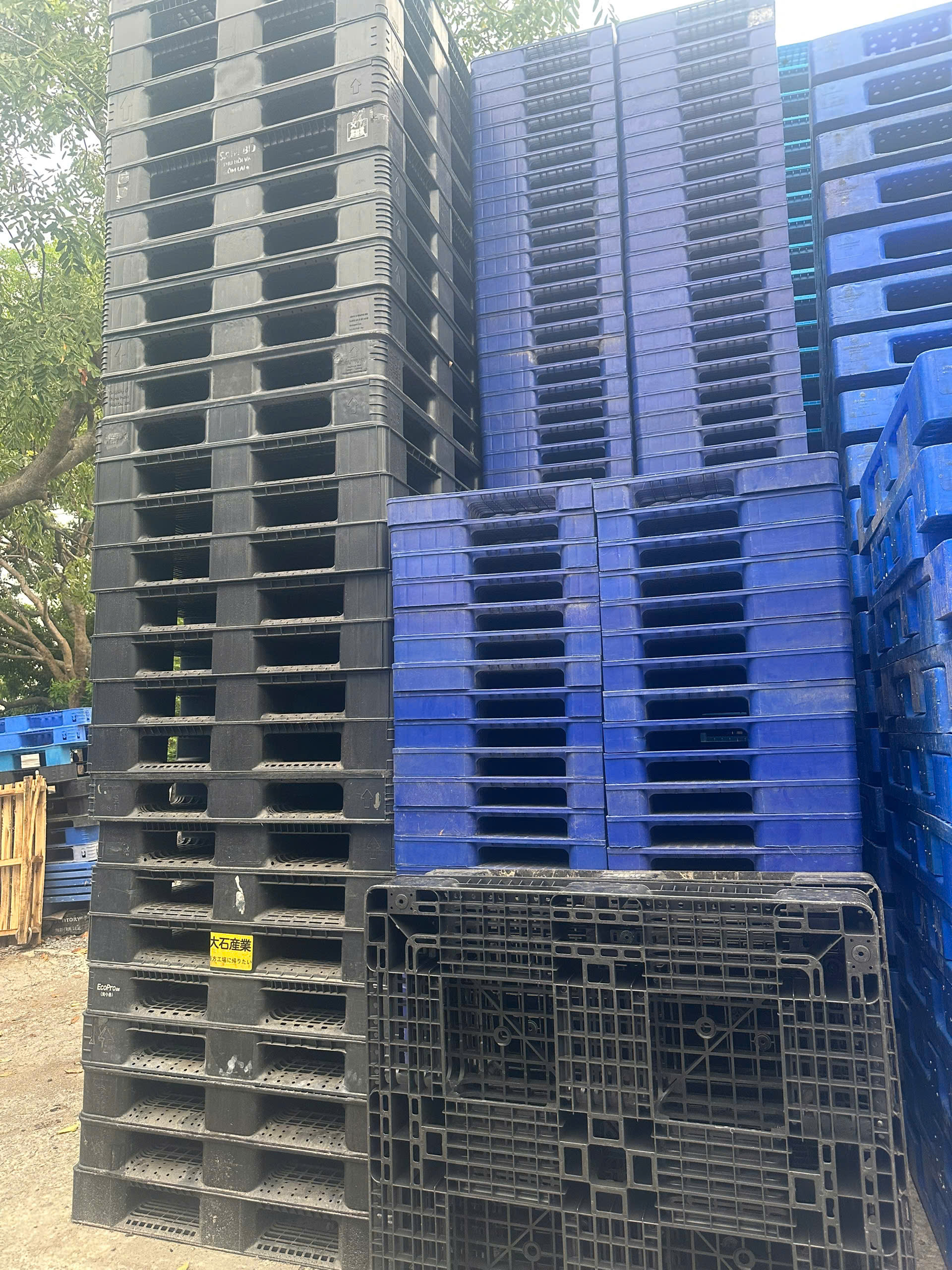Thu Mua Pallet Tận Nơi Giúp Bạn Giải Phóng Kho Bãi Nhanh Chóng